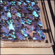 Table Basse - Blue Butterflies - Design - Pacific Compagnie.