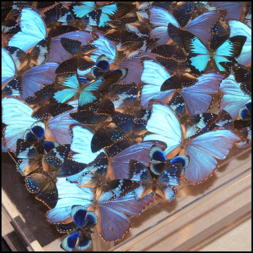 Table Basse - Blue Butterflies - Contemporary table with glossy finish and butterfly motif - Pacific Compagnie.