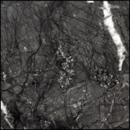 Coffee Table 163 - Imperial Lapland - Pacific Compagnie.