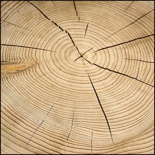 Tabouret 154 - Coppa Cedar | Stool 154 image - Pacific Compagnie.