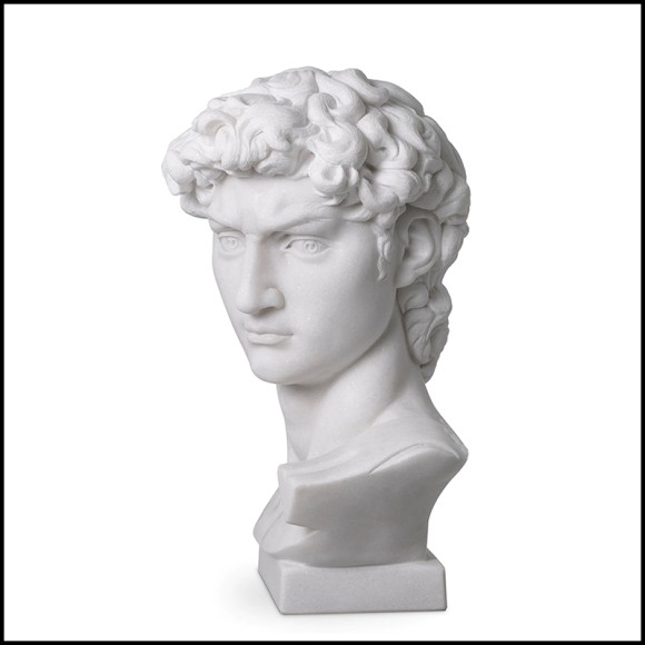 Sculpture 24 - Head David | Sculpture Head David View - Pacific Compagnie.