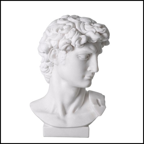 Sculpture 24 - Head David | Head David, Room Decor - Pacific Compagnie.