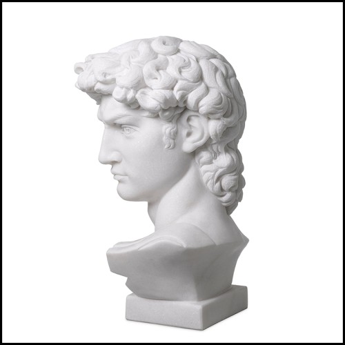 Sculpture 24 - Head David | David Head Sculpture Detail - Pacific Compagnie.