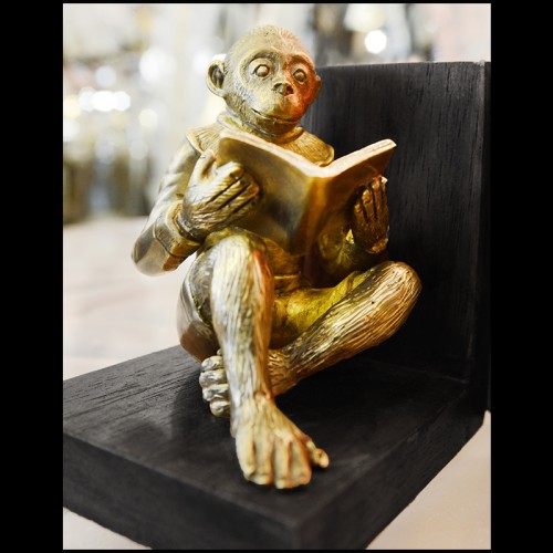 Serres - Livres PC-Monkeys - Pacific Compagnie.