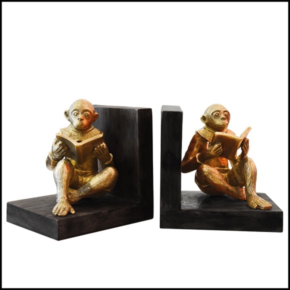 Bookends PC- Monkeys Readers Set of 2