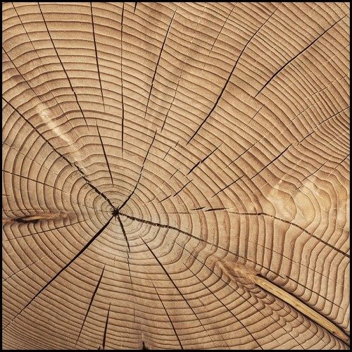 Banc 154 - Vector Cedar - Pacific Compagnie.