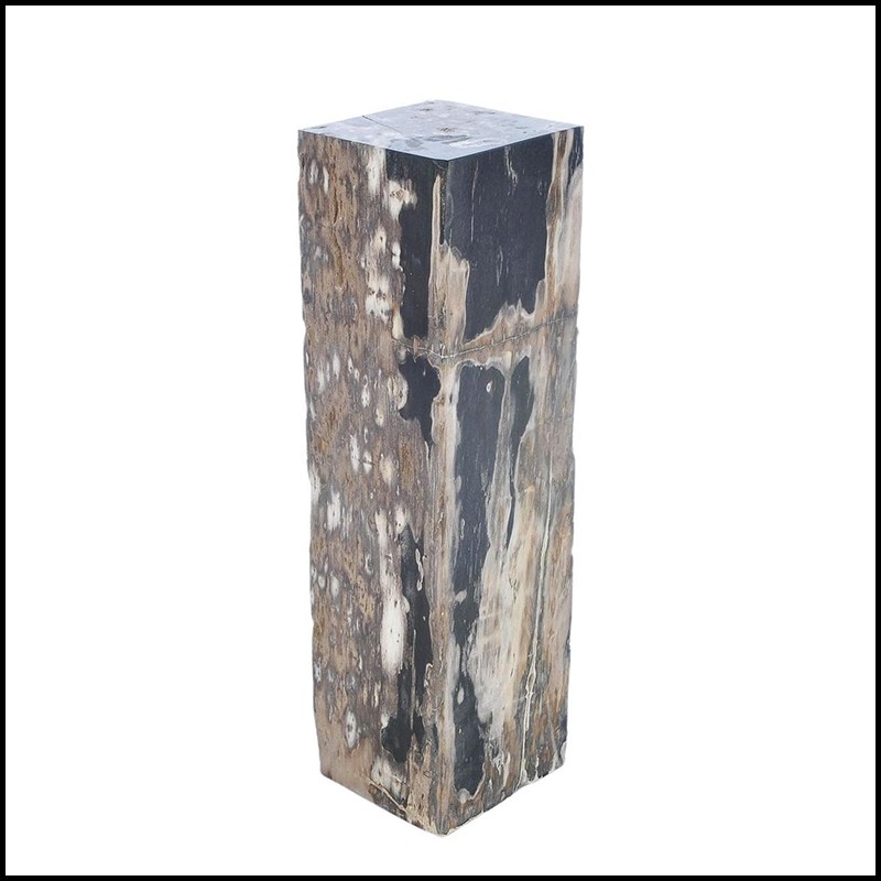 Pedestal 221-Petrified Wood Raw B