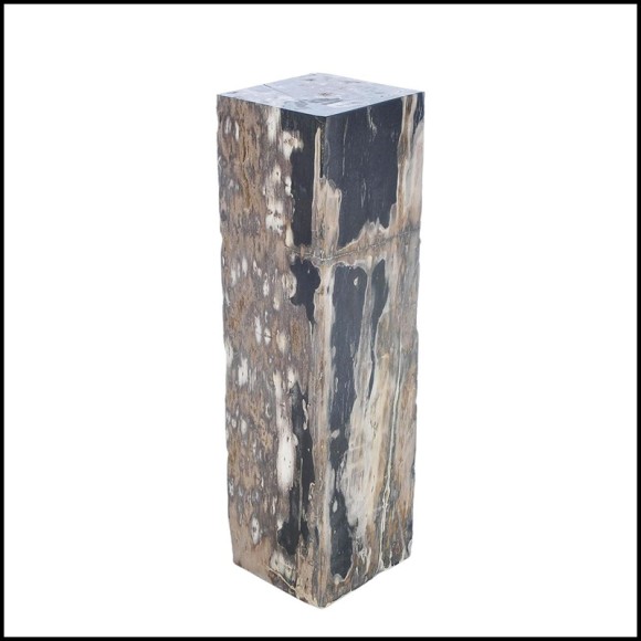 Piédestal 221 - Petrified Wood Raw B - Exotic wood pedestal with petrified wood accents - Pacific Compagnie.