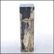 Piédestal 221 - Petrified Wood Raw B - Natural wood pedestal with petrified wood details - Pacific Compagnie.