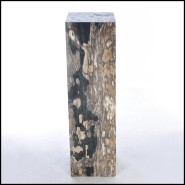Piédestal 221 - Petrified Wood Raw B - Petrified wood pedestal with unique raw texture - Pacific Compagnie.