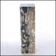 Piédestal 221-Petrified Wood Raw B
