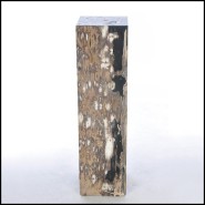 Piédestal 221-Petrified Wood Raw B