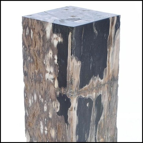 Piédestal 221 - Petrified Wood Raw B - Handcrafted pedestal with petrified wood inlay - Pacific Compagnie.