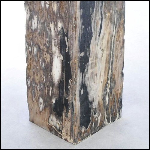 Pedestal 221-Petrified Wood Raw B