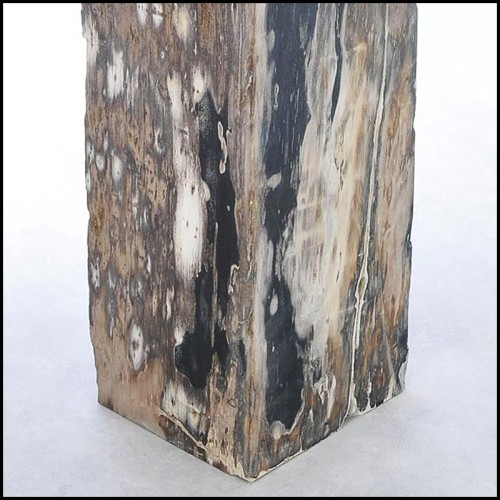 Piédestal 221 - Petrified Wood Raw B - Decorative pedestal showcasing petrified wood beauty - Pacific Compagnie.