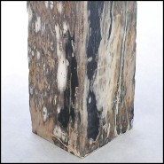 Piédestal 221 - Petrified Wood Raw B - Decorative pedestal showcasing petrified wood beauty - Pacific Compagnie.