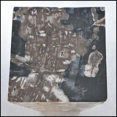 Piédestal 221 - Petrified Wood Raw B - Elegant pedestal with raw petrified wood finish - Pacific Compagnie.