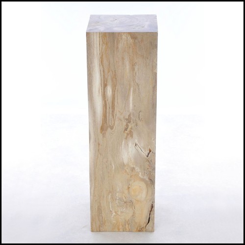 Piédestal 221 - Petrified Wood Raw C - Pedestal with petrified wood decoration - Pacific Compagnie.