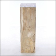 Piédestal 221 - Petrified Wood Raw C - Pedestal with petrified wood decoration - Pacific Compagnie.
