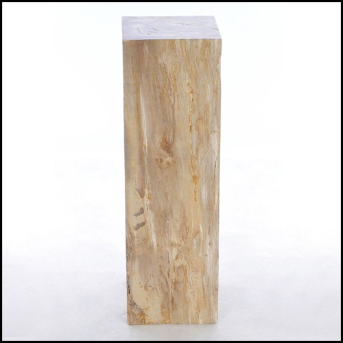 Piédestal 221 - Petrified Wood Raw C - Raw petrified wood pedestal for home decor - Pacific Compagnie.