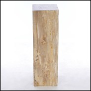 Piédestal 221 - Petrified Wood Raw C - Raw petrified wood pedestal for home decor - Pacific Compagnie.