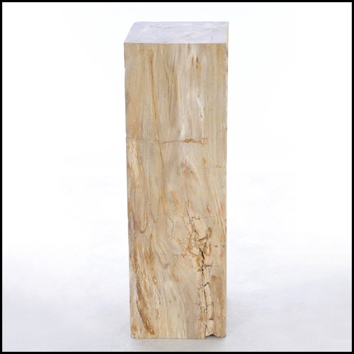 Piédestal 221 - Petrified Wood Raw C - Unique petrified wood pedestal for interior design - Pacific Compagnie.