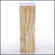 Piédestal 221 - Petrified Wood Raw C - Natural petrified wood pedestal for stylish homes - Pacific Compagnie.