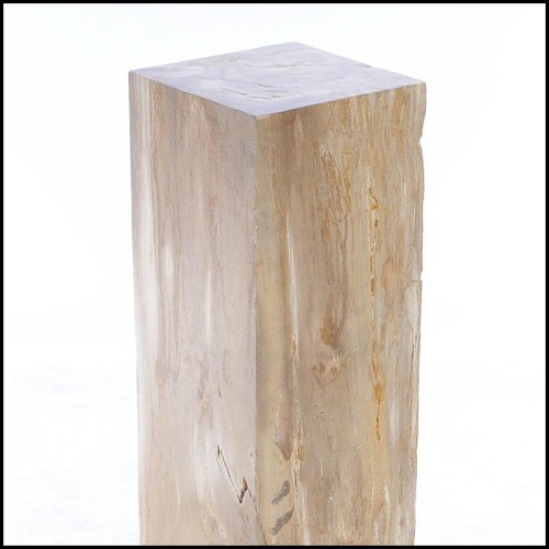 Piédestal 221 - Petrified Wood Raw C - Petrified wood pedestal with rustic charm - Pacific Compagnie.