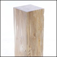 Piédestal 221 - Petrified Wood Raw C - Petrified wood pedestal with rustic charm - Pacific Compagnie.