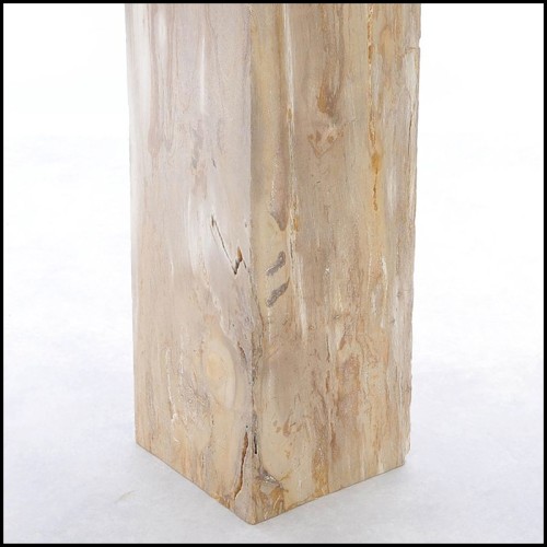 Piédestal 221 - Petrified Wood Raw C - Handcrafted petrified wood pedestal for luxury interiors - Pacific Compagnie.