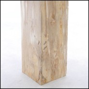 Piédestal 221 - Petrified Wood Raw C - Handcrafted petrified wood pedestal for luxury interiors - Pacific Compagnie.