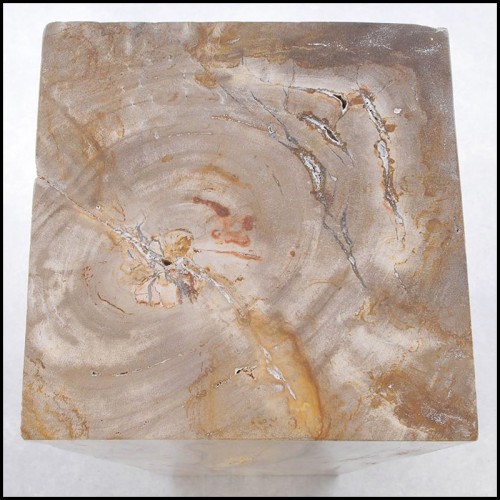 Piédestal 221 - Petrified Wood Raw C - Exquisite petrified wood pedestal for modern decor - Pacific Compagnie.