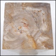 Piédestal 221 - Petrified Wood Raw C - Exquisite petrified wood pedestal for modern decor - Pacific Compagnie.