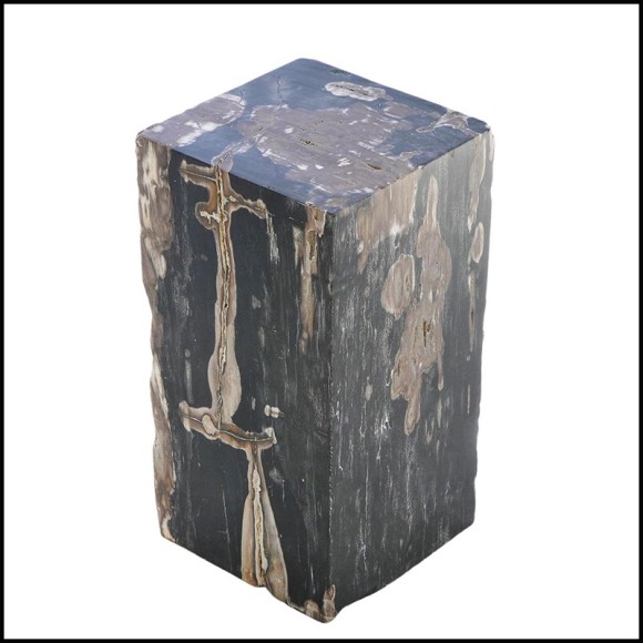 Table d'appoint 221 - Petrified Wood N°G - Table D'appoint - Pacific Compagnie.