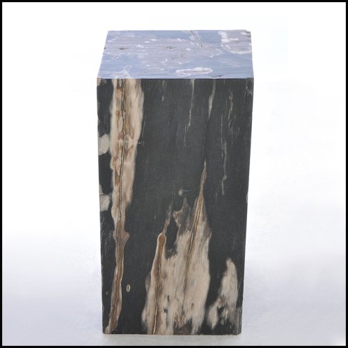 Table d'appoint 221 - Petrified Wood N°G - Petite Table - Pacific Compagnie.