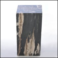 Table d'appoint 221-Petrified Wood N°G