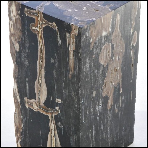 Table d'appoint 221 - Petrified Wood N°G - Pièce Unique - Pacific Compagnie.