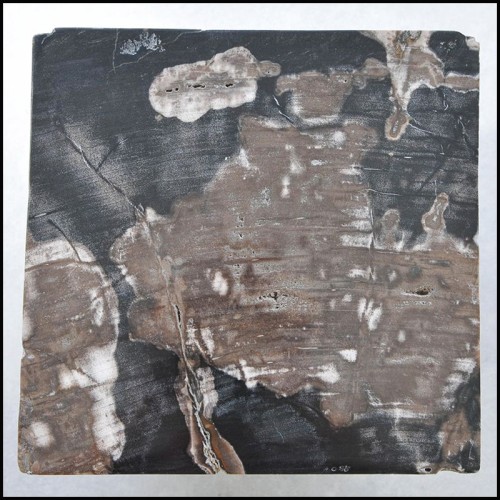 Table d'appoint 221 - Petrified Wood N°G - Bois Fossilisé - Pacific Compagnie.