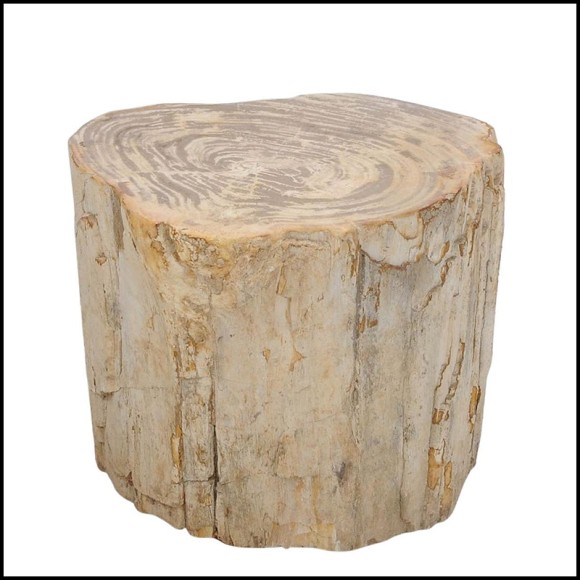 Table d'Appoint 221 - Petrified Wood n°H - Unique side table with petrified wood finish - Pacific Compagnie.