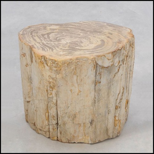 Side Table 221-Petrified Wood n°H