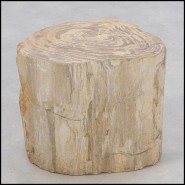 Side Table 221-Petrified Wood n°H