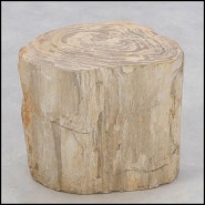 Table d'Appoint 221 - Petrified Wood n°H - Handcrafted side table featuring petrified wood - Pacific Compagnie.