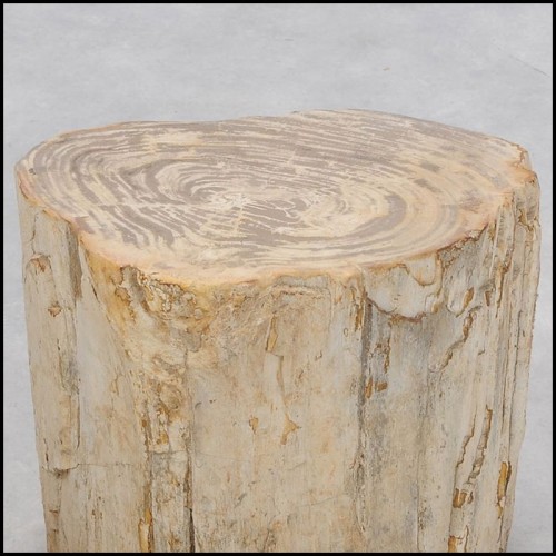 Table d'Appoint 221 - Petrified Wood n°H - Modern furniture with petrified wood detailing - Pacific Compagnie.