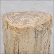 Table d'Appoint 221 - Petrified Wood n°H - Modern furniture with petrified wood detailing - Pacific Compagnie.