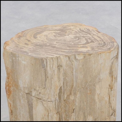 Table d'Appoint 221 - Petrified Wood n°H - Wooden side table with elegant petrified wood design - Pacific Compagnie.