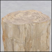 Table d'Appoint 221 - Petrified Wood n°H - Style brut - Pacific Compagnie.