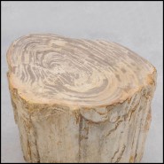 Table d'Appoint 221 - Petrified Wood n°H - Exquisite coffee table alternative with petrified wood - Pacific Compagnie.