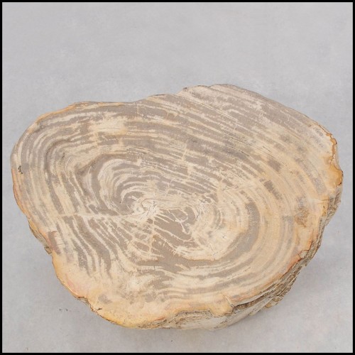 Table d'Appoint 221 - Petrified Wood n°H - Decorative side table with natural petrified wood beauty - Pacific Compagnie.