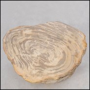 Table d'Appoint 221 - Petrified Wood n°H - Decorative side table with natural petrified wood beauty - Pacific Compagnie.