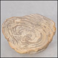 Table d'Appoint 221-Petrified Wood n°H